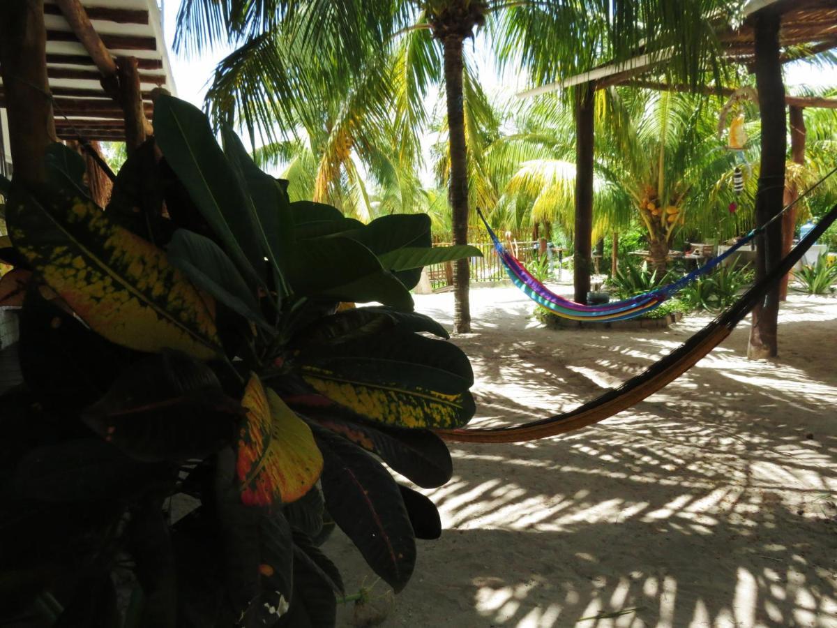 Art Maya Rooms Isla Holbox Εξωτερικό φωτογραφία
